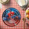 8 Count Marvel’s Spider-Man Paper Dessert Plates 7" Disposable Plates for Superhero Birthday Parties
